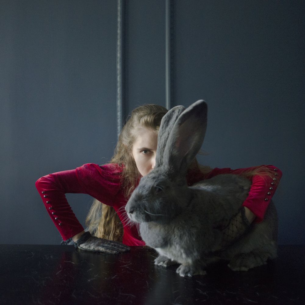 Фотография автора Екатерина Швецова