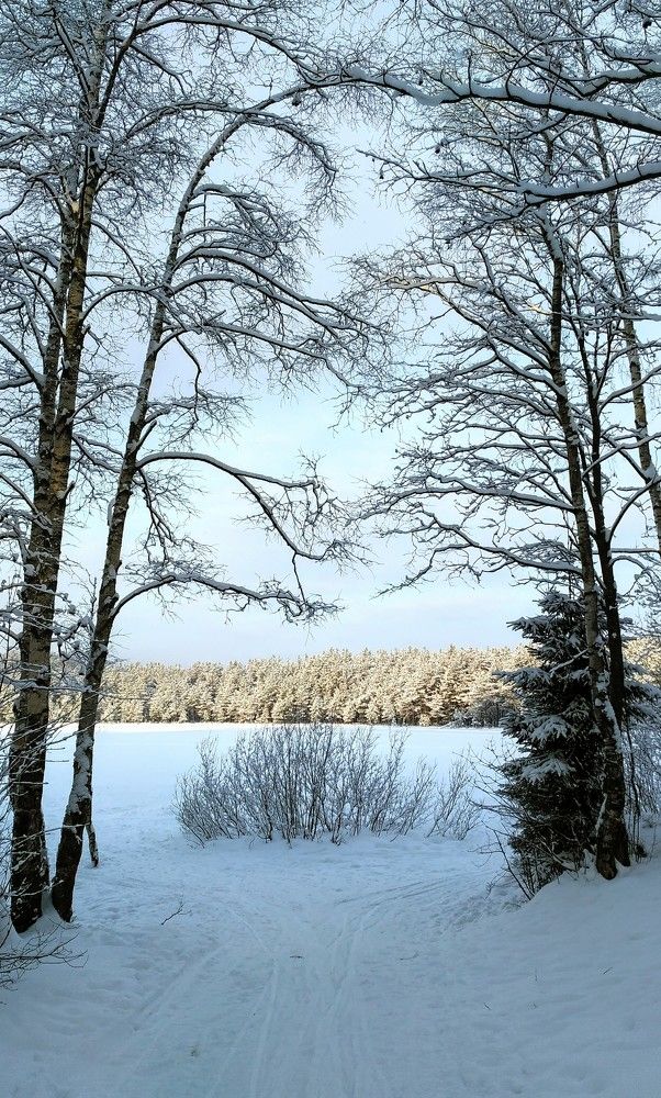 Photograph by Денис Терехин