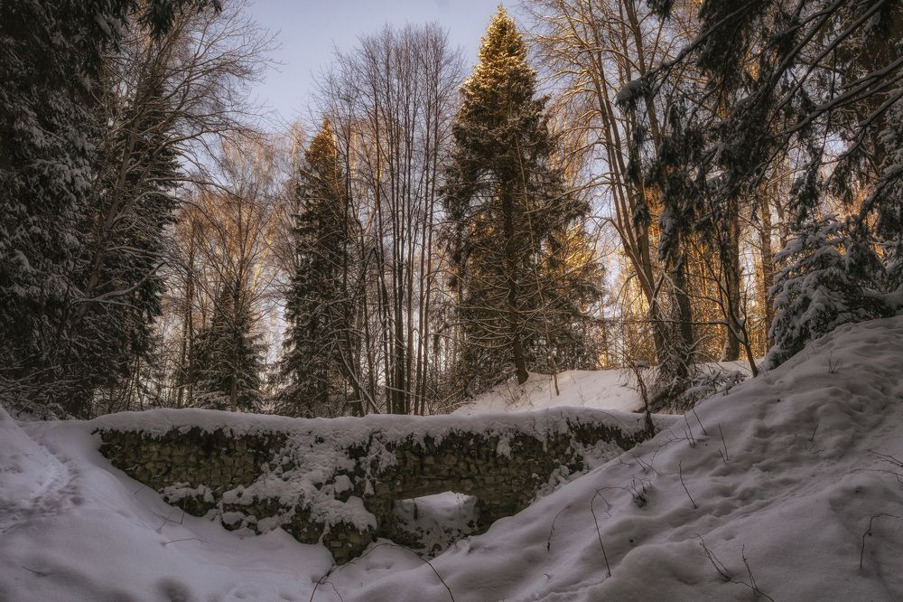 Photograph by Цветков Сергей