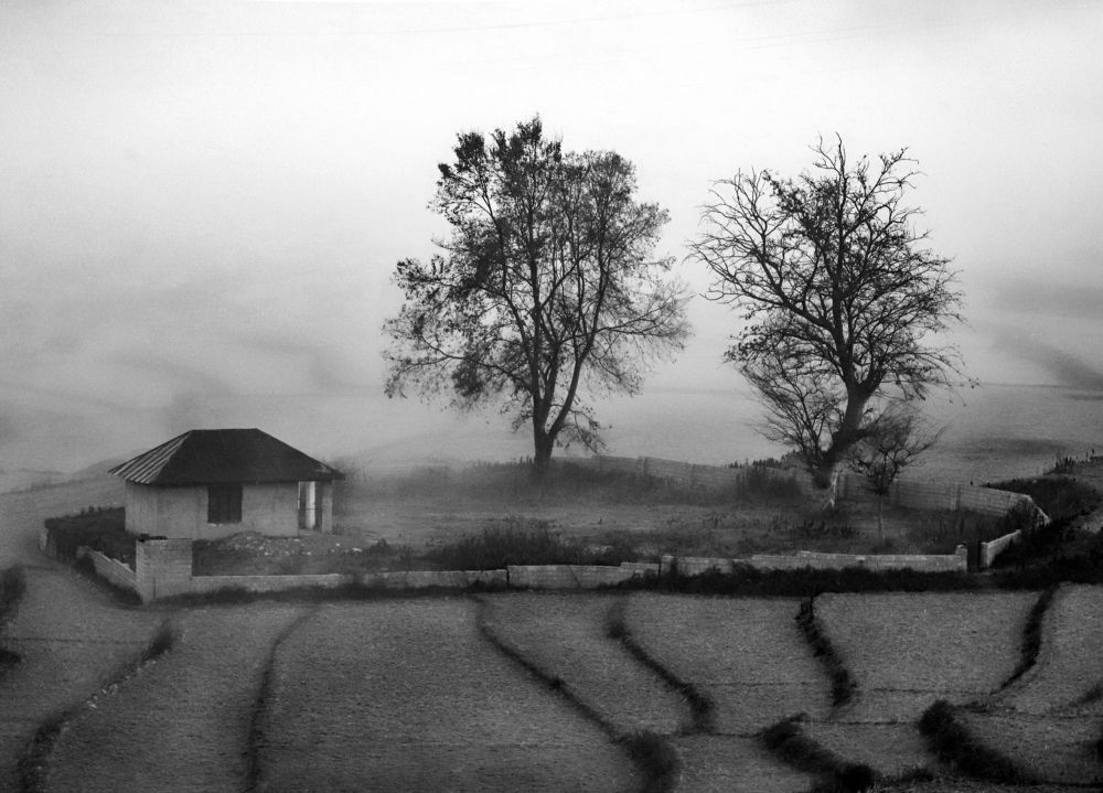 Photograph by Ali Fallah