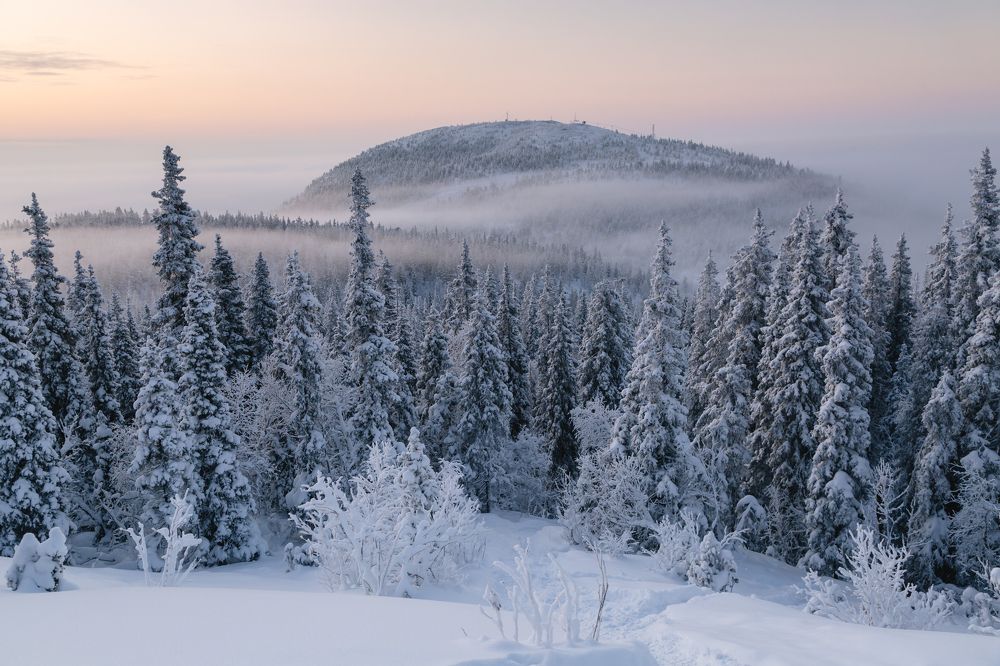 Photograph by Андрей Белавин