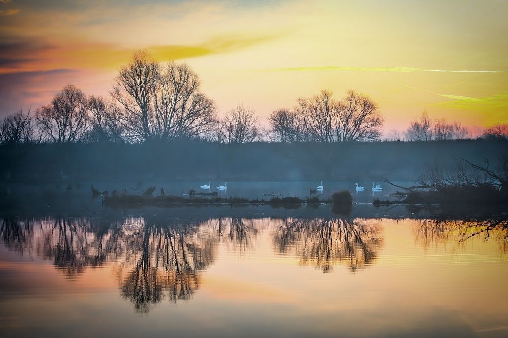 Photograph by Milan Uhrin