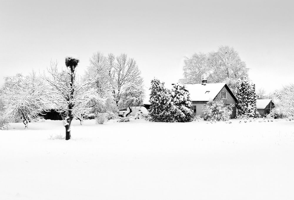 Photograph by Dina Kopstale