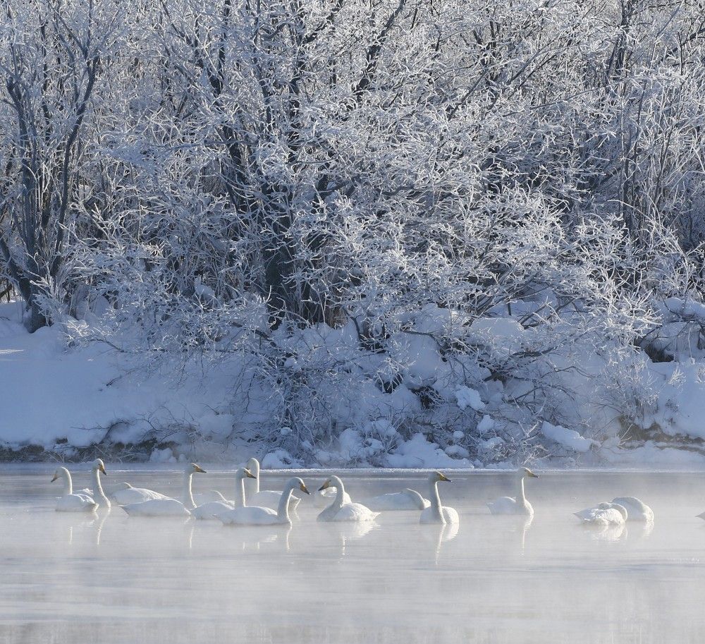 Photograph by Наталья Турчик