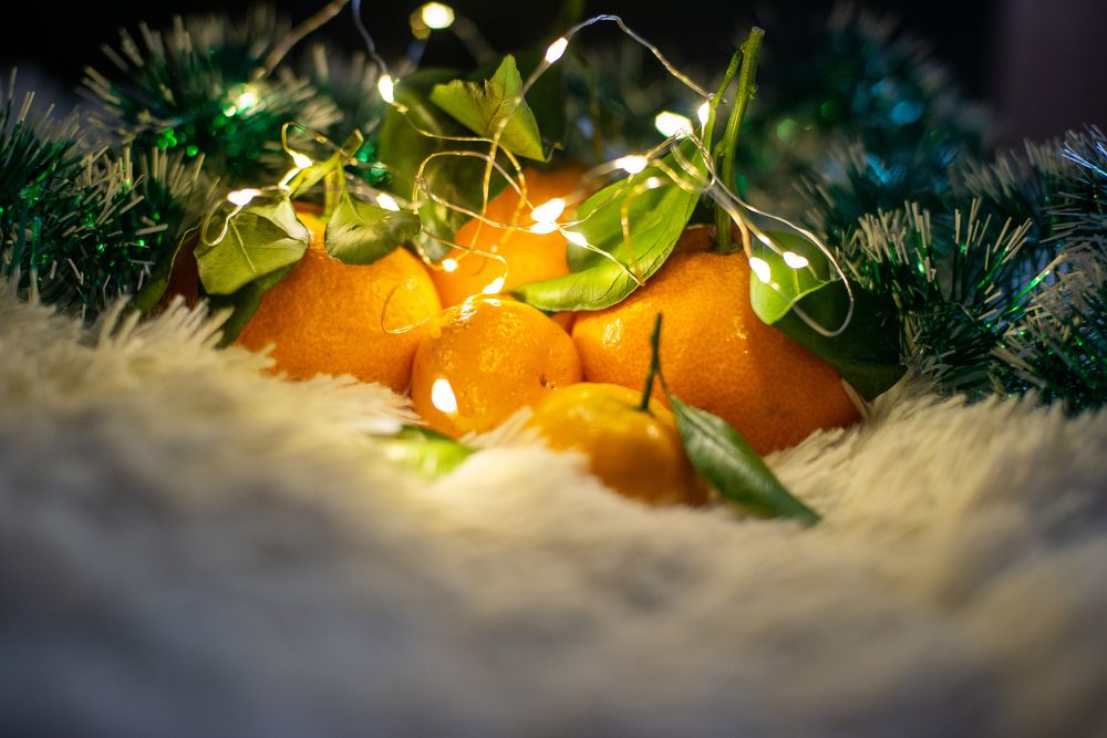 Photograph by Маргарита Гарнец