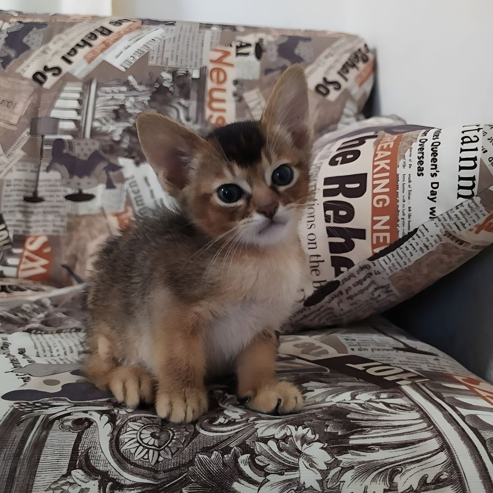 Photograph by Елена Сухорученкова