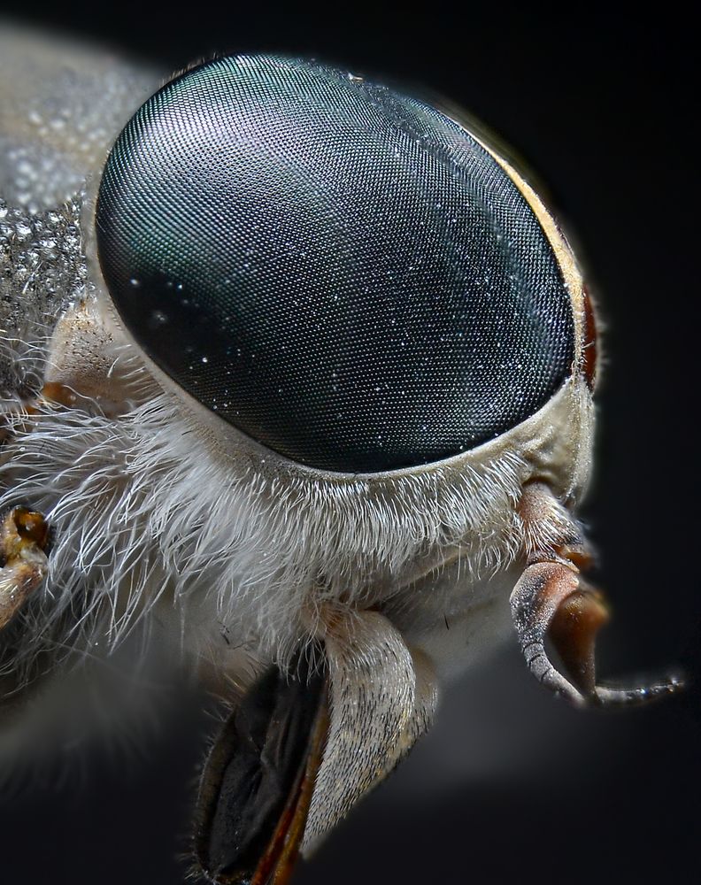 Photograph by Kasun Wickramasinghe