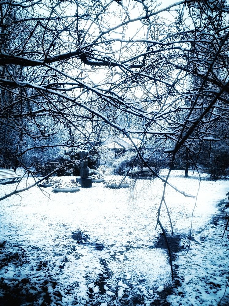 Photograph by Наталья Тиссен