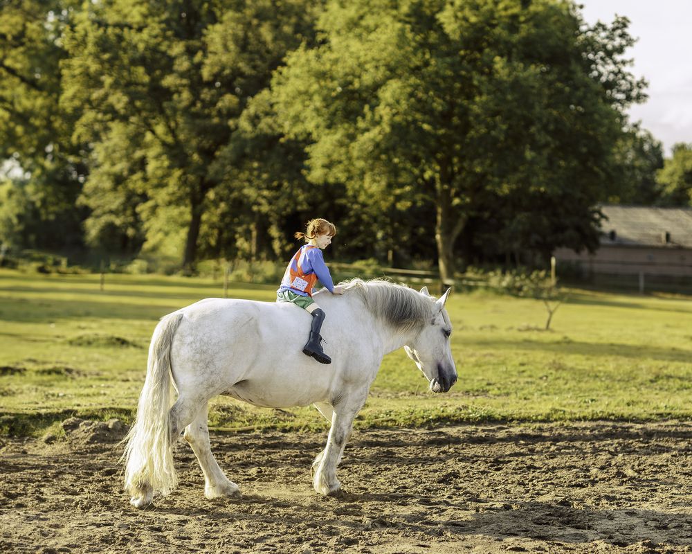 Фотография автора Elena Turina