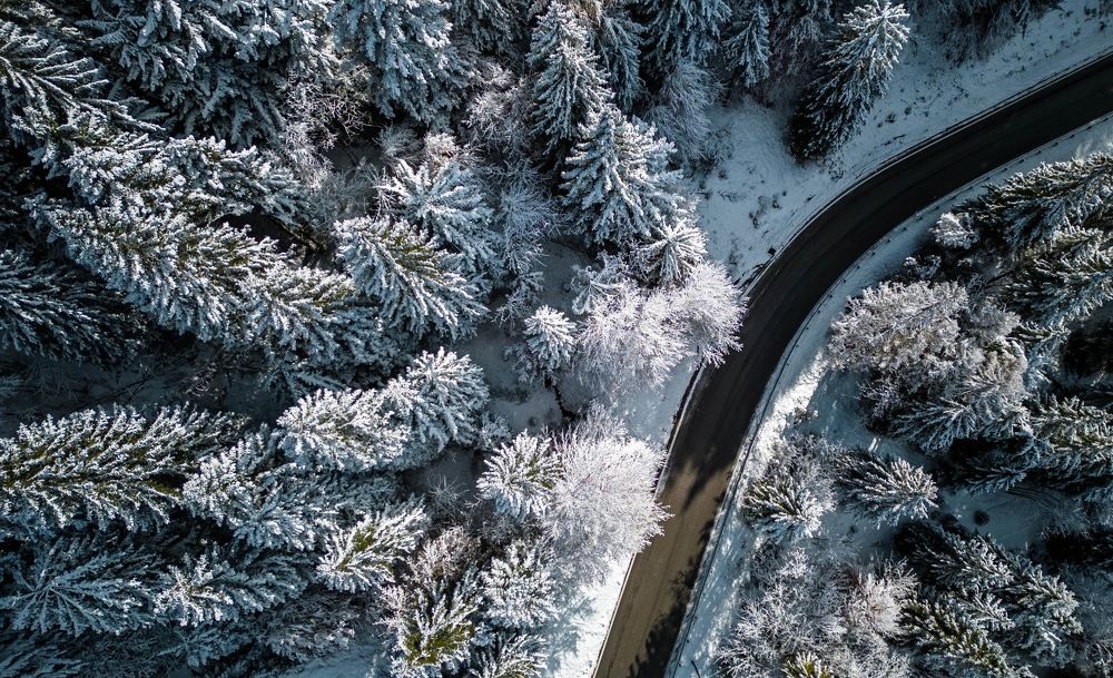 Фотография автора Crespan Terry