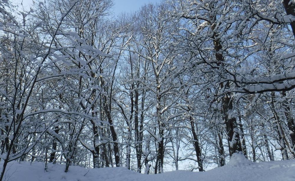 Photograph by Елена Сухорученкова