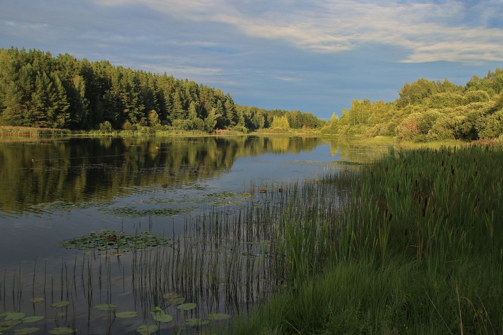 Photograph by Юрий Чистяков