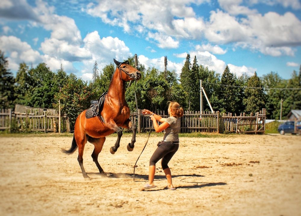 Photograph by Мария Андреева