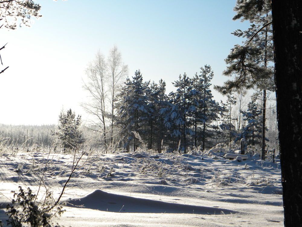 Photo #10070656