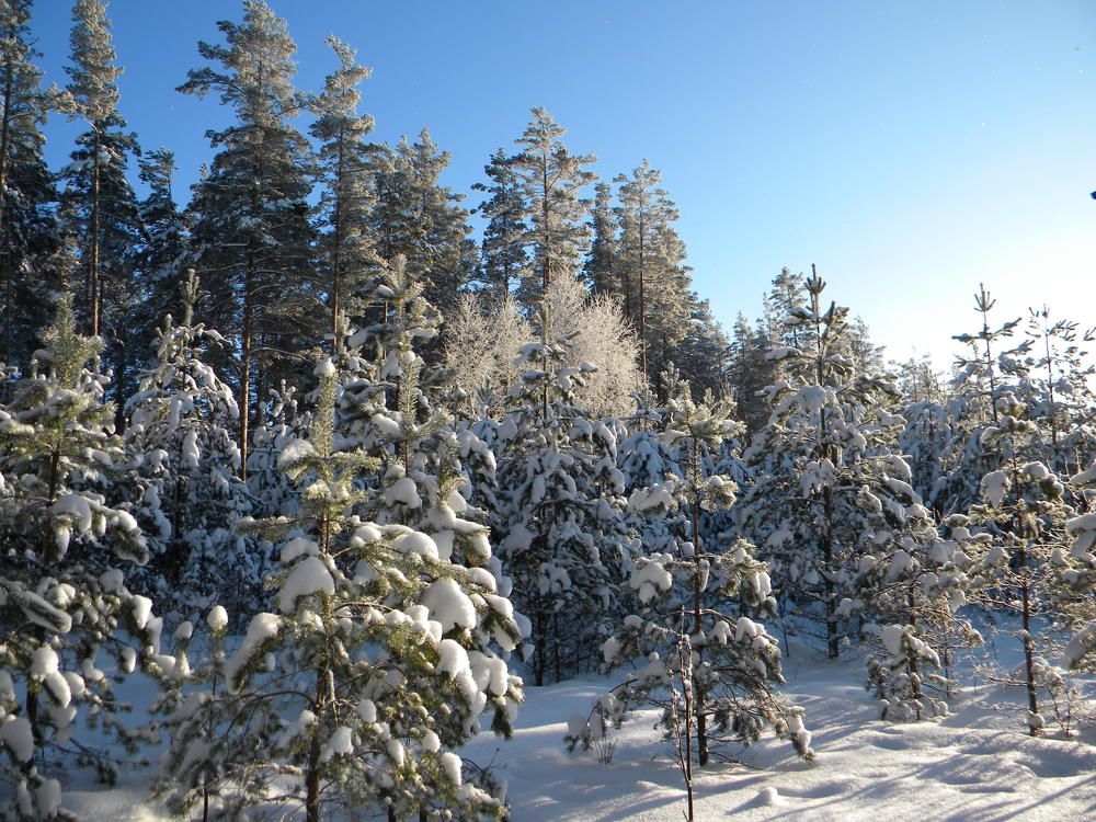Photo #10070657