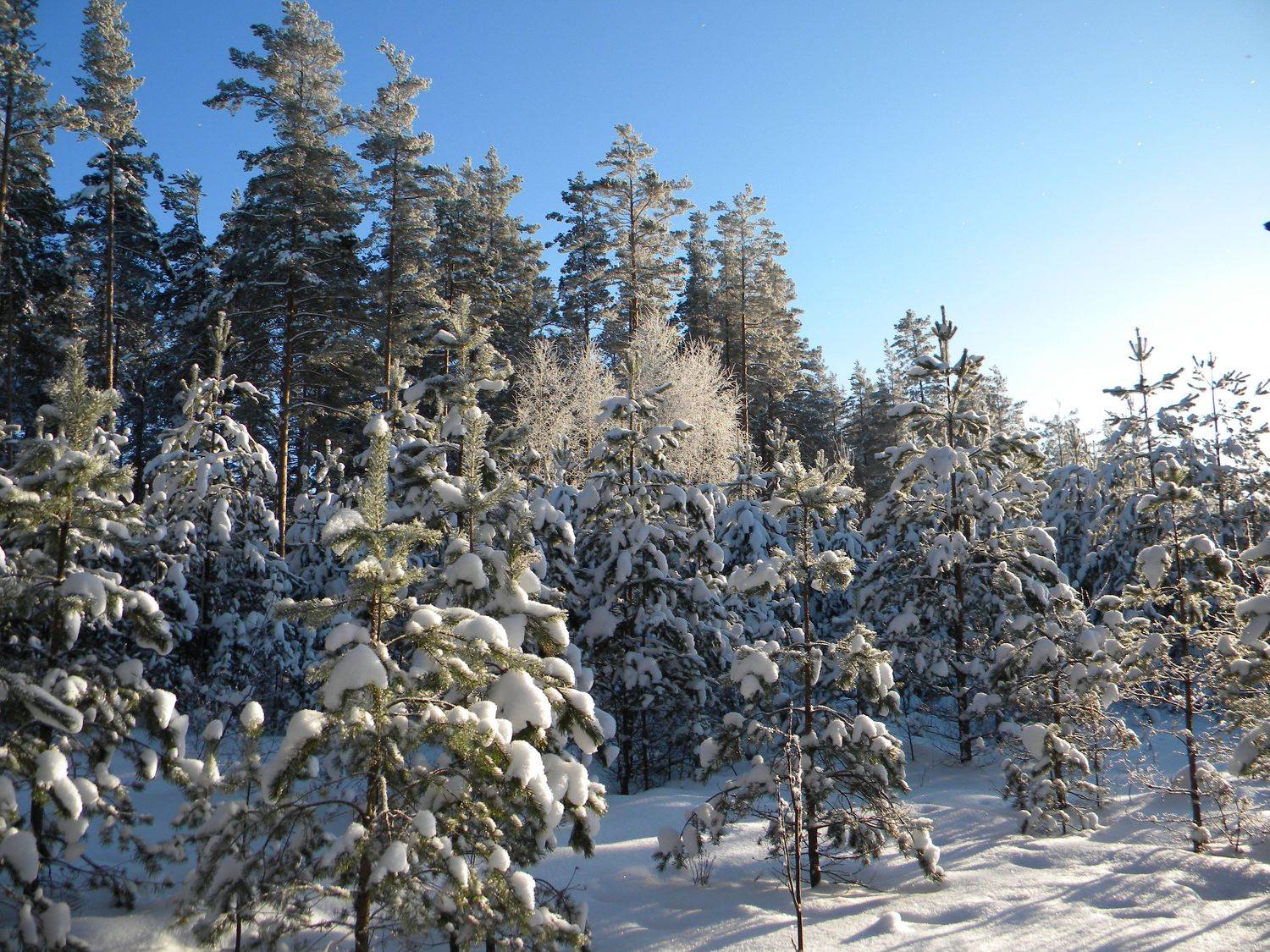 Photo #10070657