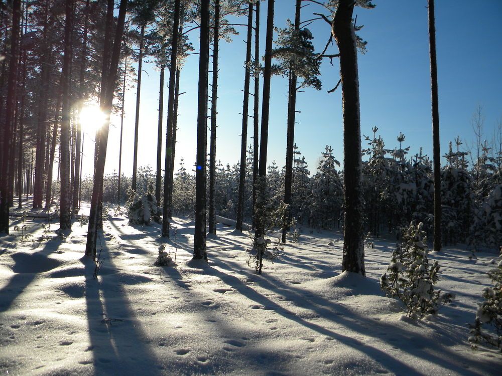 Photo #10070658