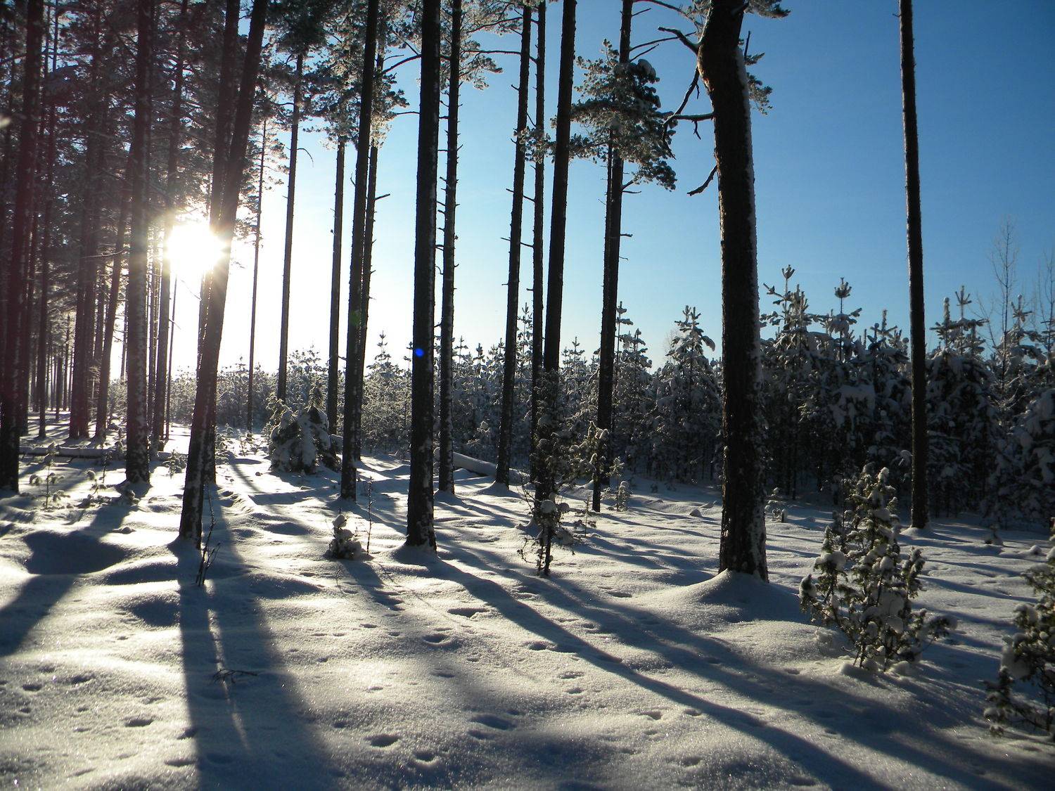 Photo #10070658