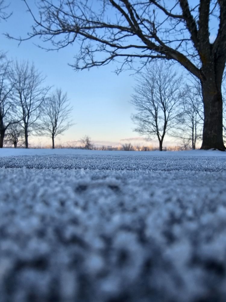 Photograph by Elena N.