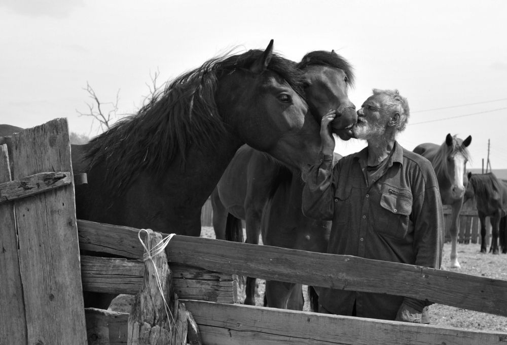 Фотография автора Светлана Воротынцева