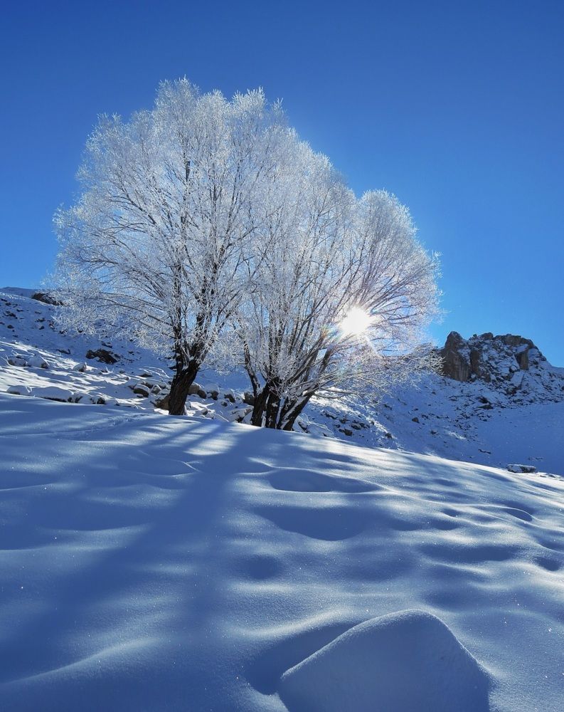 Photograph by Shahrzad Shahrokhi