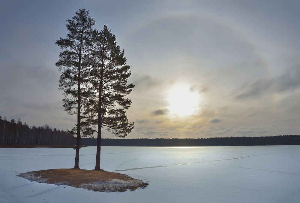 Зимнее солнце