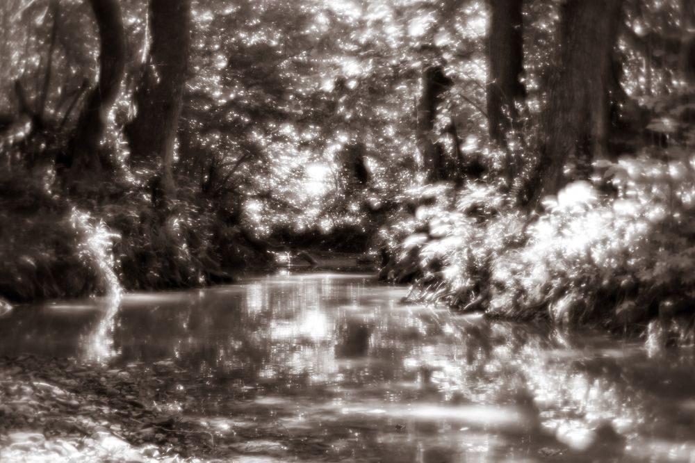 Photograph by Александр Якимовец