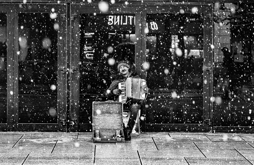 Photograph by Mostafa Mohammad Beigi