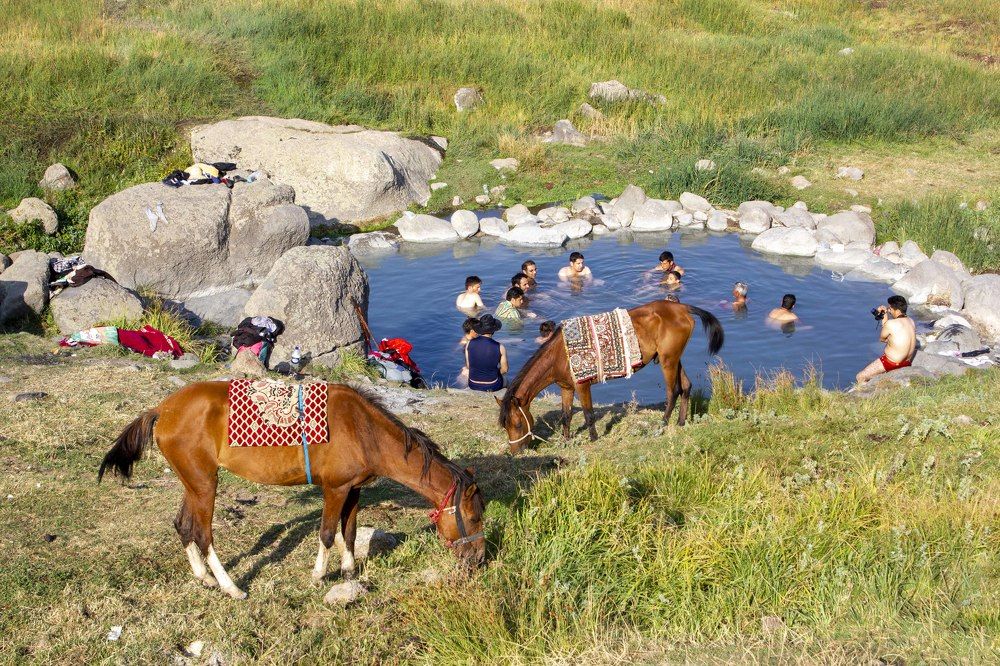 With beautiful horses