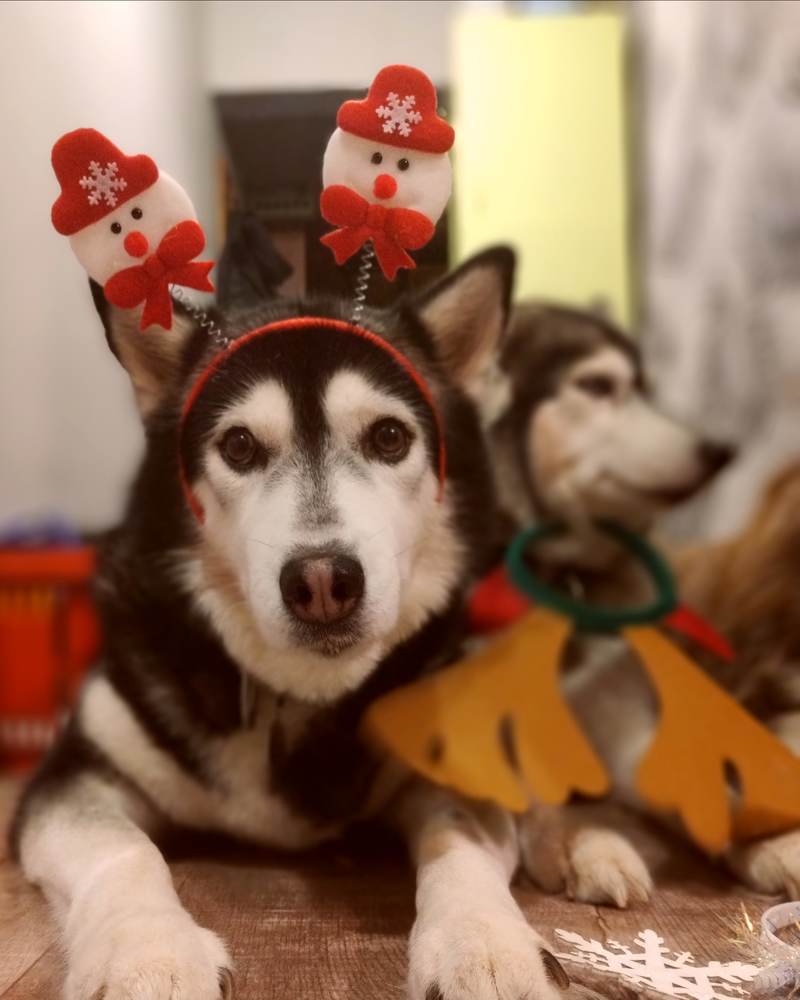 Photograph by Елена Наленч