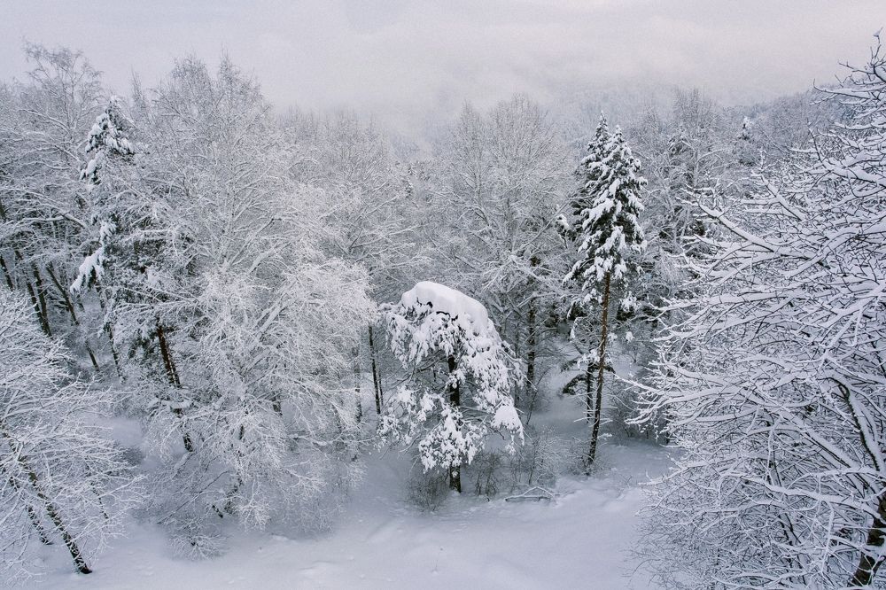 Фотография автора Nadezhda