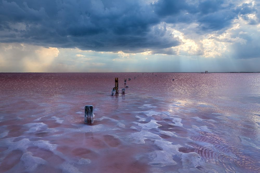 Photograph by Ольга Рагинская