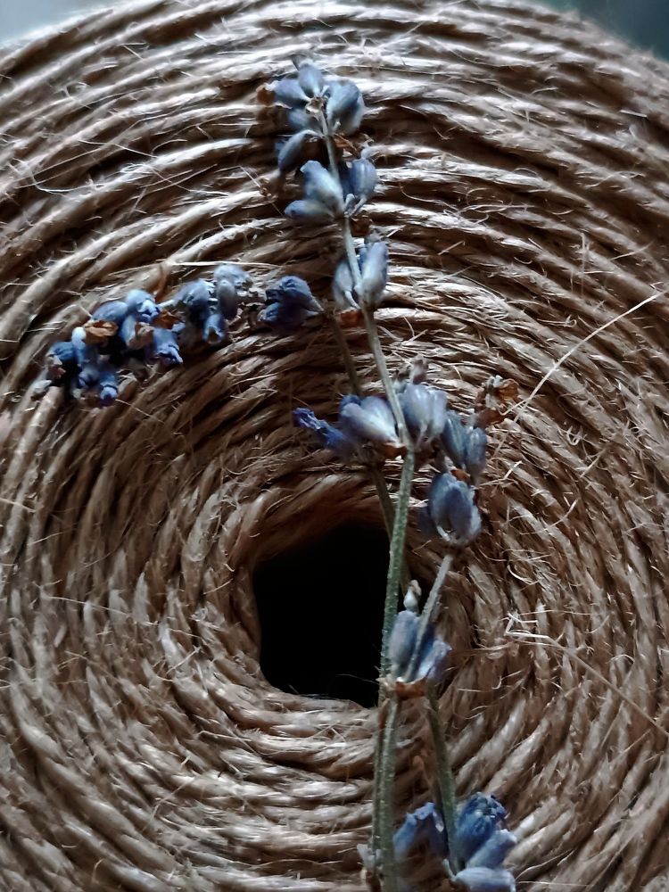 Photograph by Сидорова Ирина