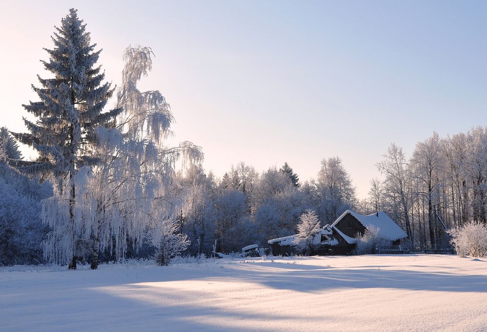 Photograph by Светлана