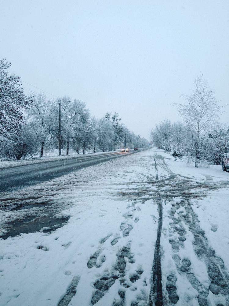 Фотография автора yakuwari