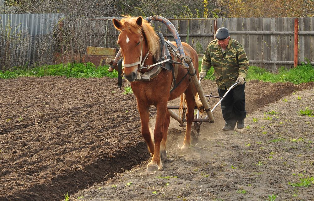 Photograph by Светлана