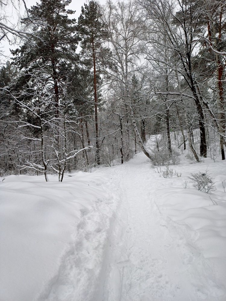 Photograph by Елизавета Мишина