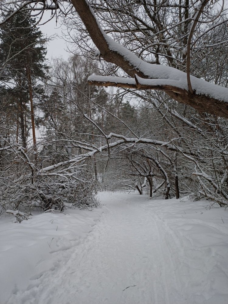 Photograph by Елизавета Мишина