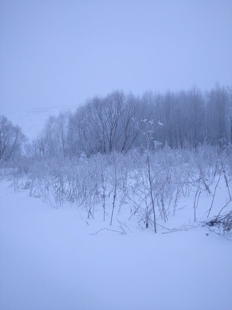 Photograph by Елена Коробченко