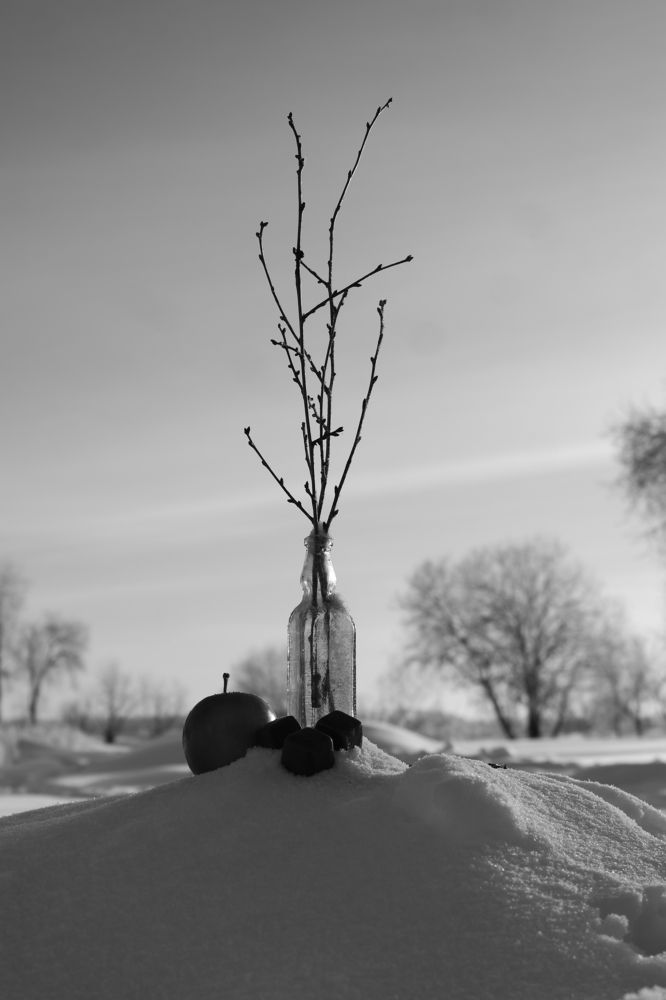 Photograph by Ильяс Альмухаметов