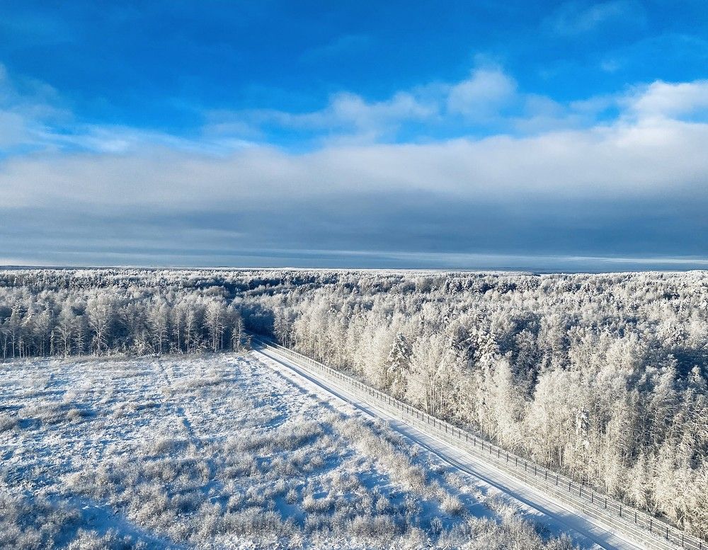 Фотография автора Рожнов Кирилл