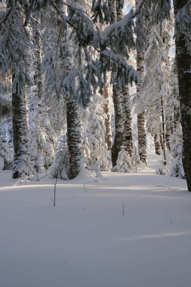 Photograph by Надежда