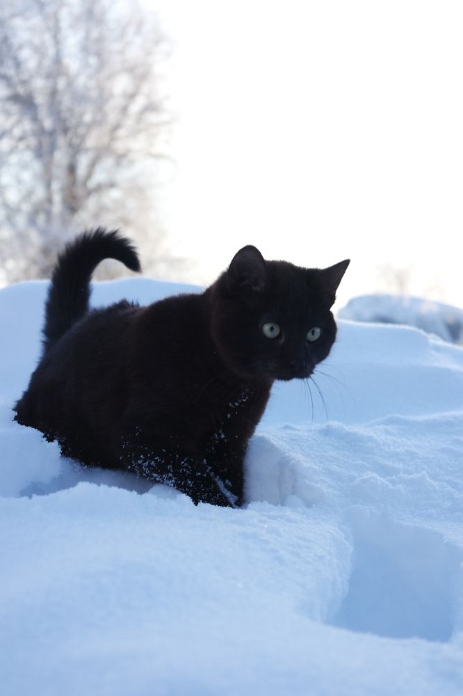 Photograph by Ильяс Альмухаметов