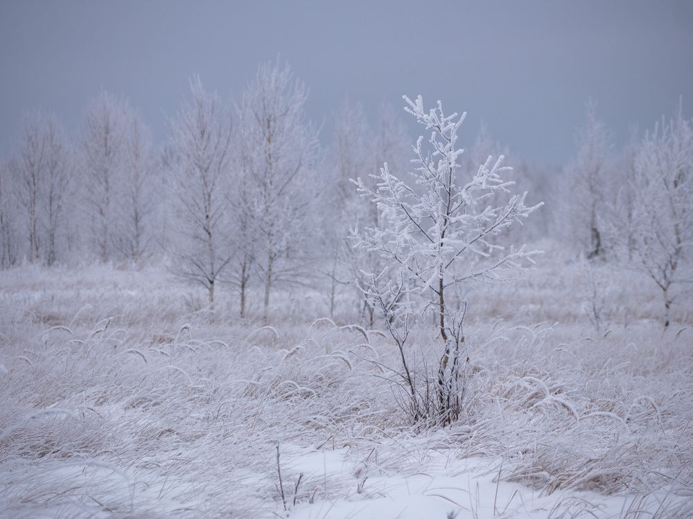 Photograph by Сергей Забиякин