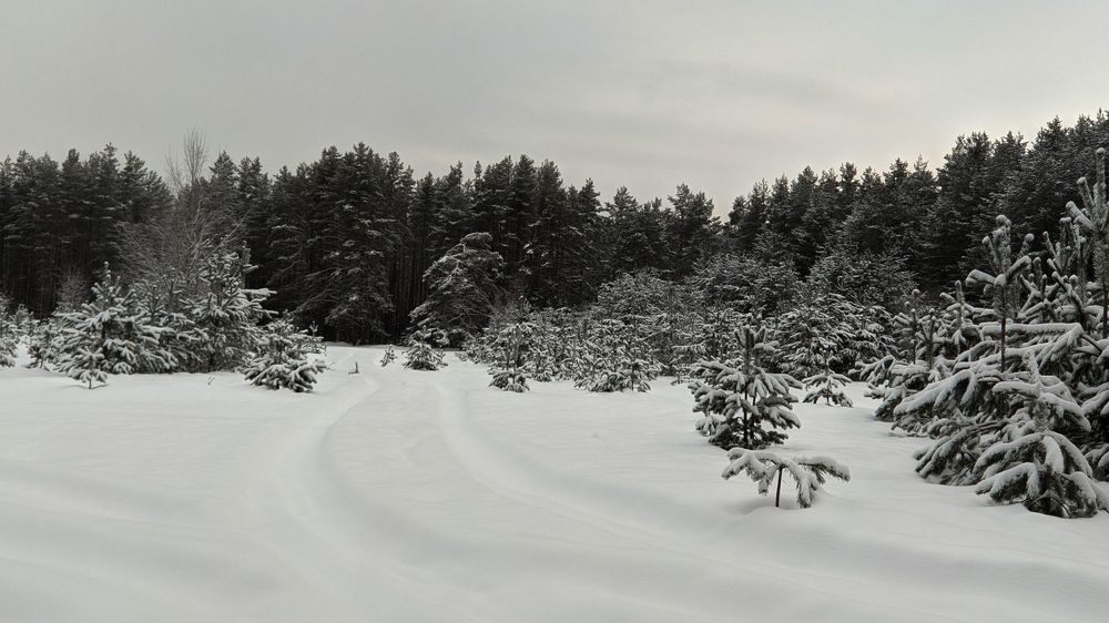 Дорога в некуда.