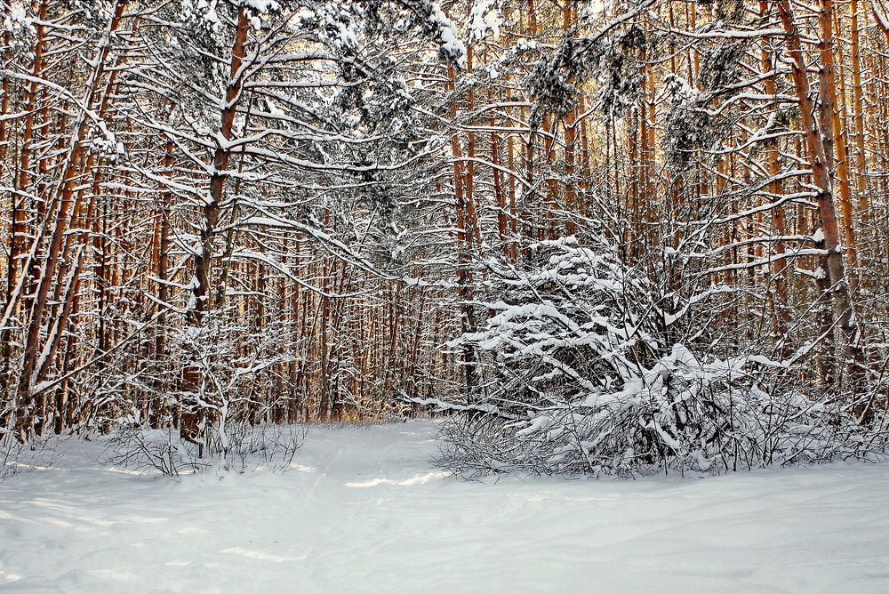 Штрихи зимы