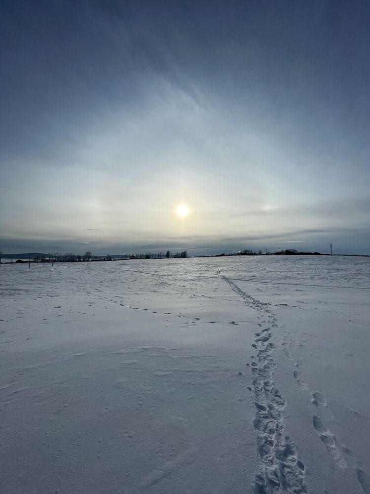 Photograph by Sergei Komlev