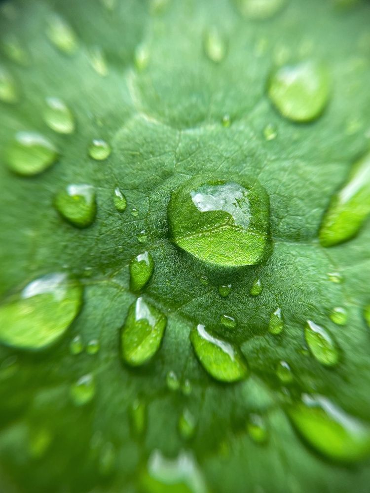 Photograph by Sergei Komlev