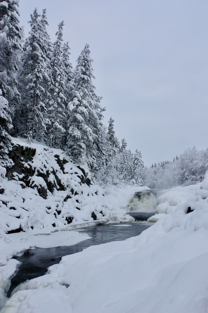 Живописный водопад Кивач в Карелии .