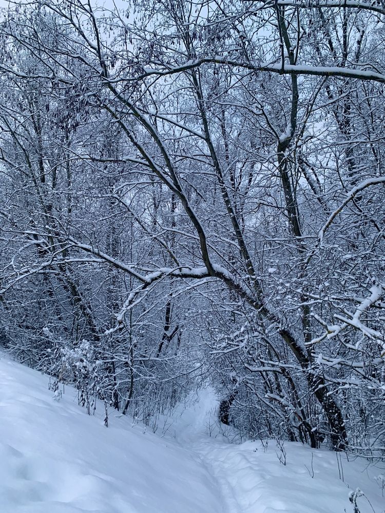 Дорожка к роднику.